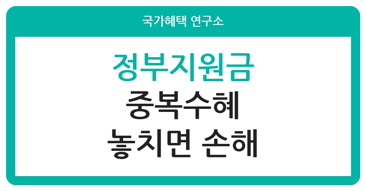 정부지원금 중복 수혜 확인하는 방법