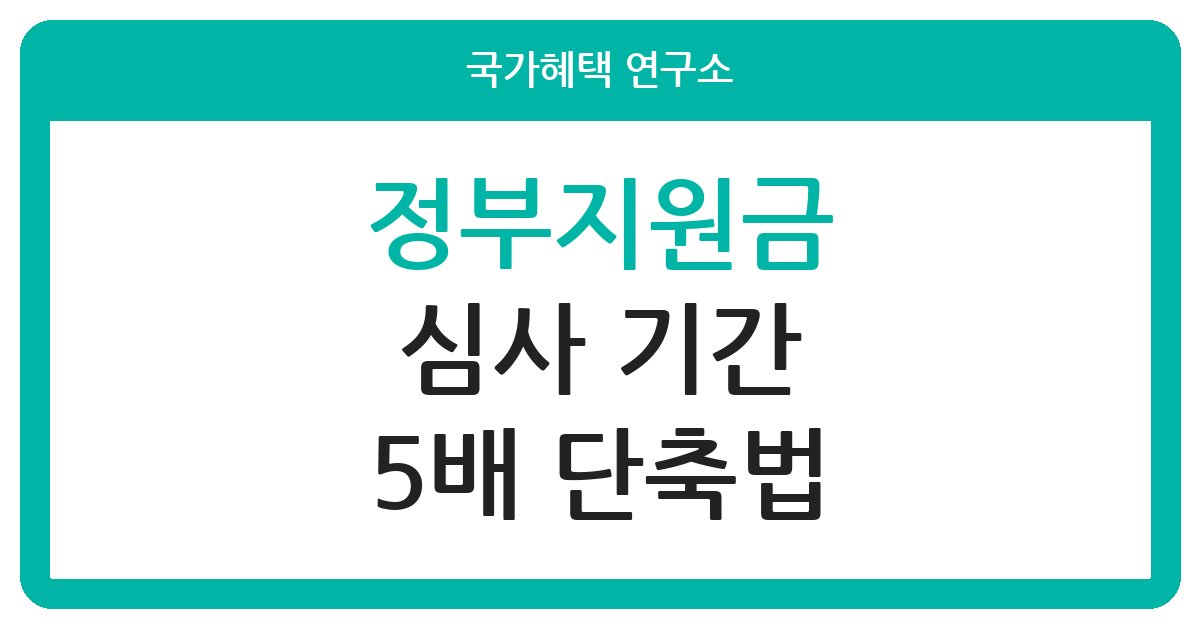 정부지원금 심사 기간 5배 빨리 줄이는 법